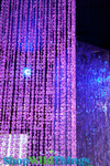 Crystal Brilliant Non-Iridescent Beaded Curtains and Drapes | ShopWildThings.com