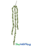 Artificial succulent vine | String of pearls trailing vine | Faux succulent pick | ShopWildThings.com Artificial succulent vine | String of pearls trailing vine | Faux succulent pick | ShopWildThings.com