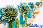 Indoor/outdoor succulents for vases | Cactus centerpieces | ShopWildThings.com Indoor/outdoor succulents for vases | Cactus centerpieces | ShopWildThings.com