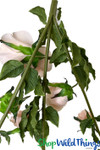 Blush Pink Rose Garland With Bendable Stems | Table Centerpiece or Hanging Flowers | ShopWildThings.com