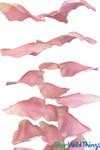 Pink Rose Petal Garland | Giant Silk Rose Petals | Wedding Flower Garlands |
Tabletop or Hanging Flowers | ShopWildThings Pink Rose Petal Garland | Giant Silk Rose Petals | Wedding Flower Garlands |
Tabletop or Hanging Flowers | ShopWildThings