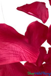 Large Silk Rose Petals | Tabletop or Hanging Floral Decorations | Fuchsia Pink Wedding Flowers | ShopWildThings.com Large Silk Rose Petals | Tabletop or Hanging Floral Decorations | Fuchsia Pink Wedding Flowers | ShopWildThings.com