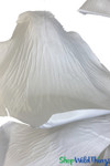 Large Silk Rose Petals | Tabletop or Hanging Floral Decorations | White Wedding Flowers | ShopWildThings.com Large Silk Rose Petals | Tabletop or Hanging Floral Decorations | White Wedding Flowers | ShopWildThings.com