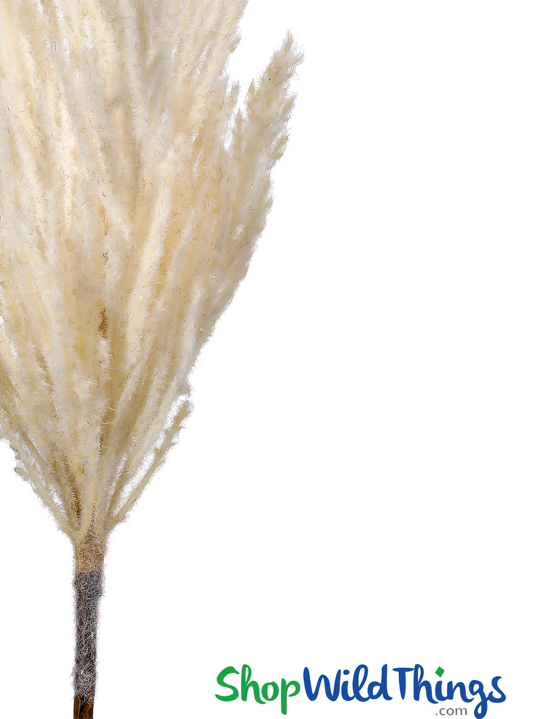 Melrose International Flocked Beige Pampas Grass Spray (Set of 4) main image 0