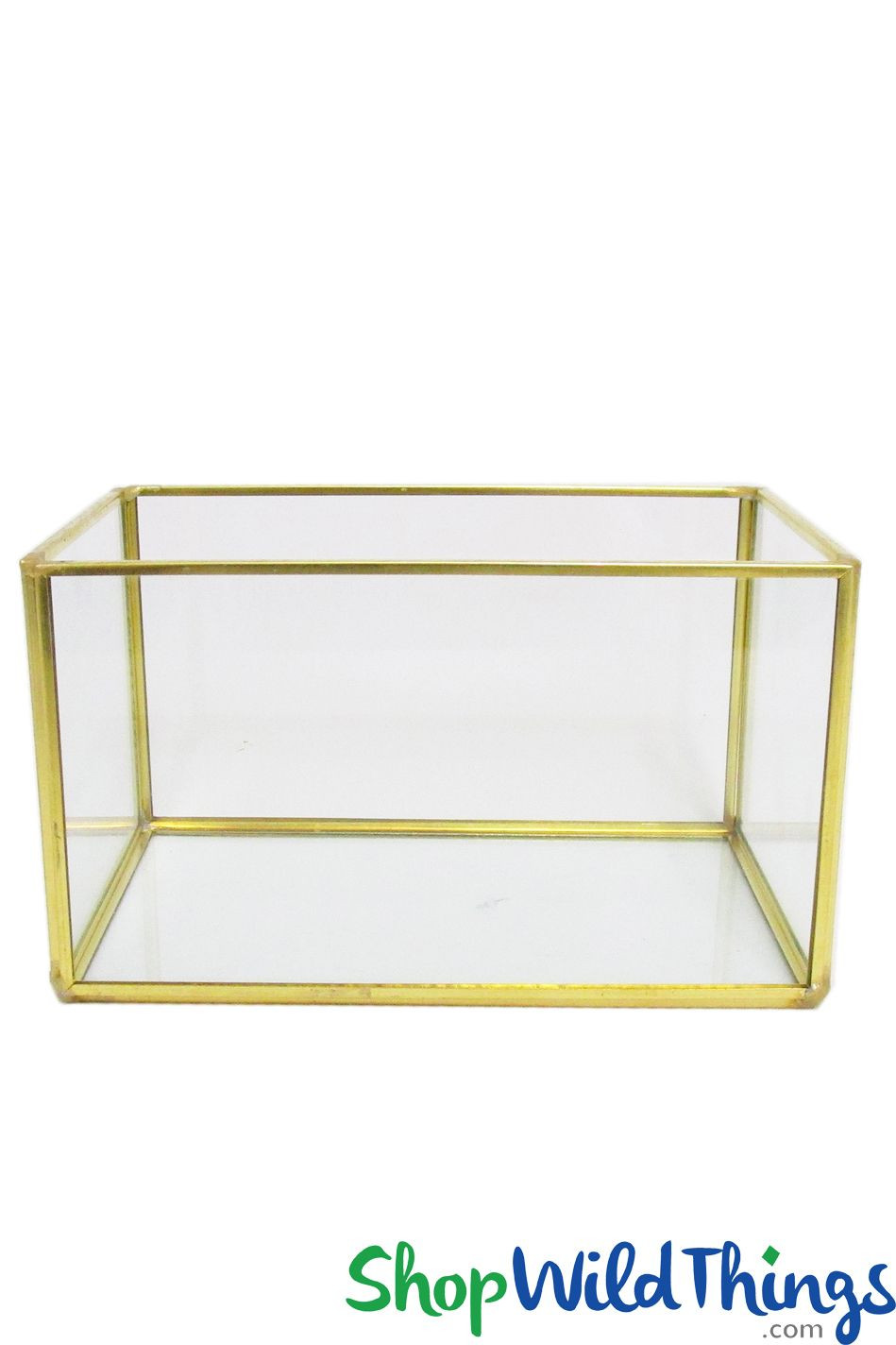 Clear Glass Open Terrarium | 5 7/8