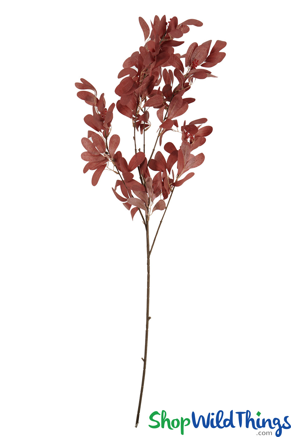 Burnt Sienna Willow Eucalyptus Branch 36" Tall