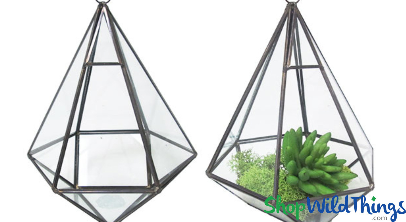 Candle Holders, Hexagonal Glass Terrariums Hang or Tabletop