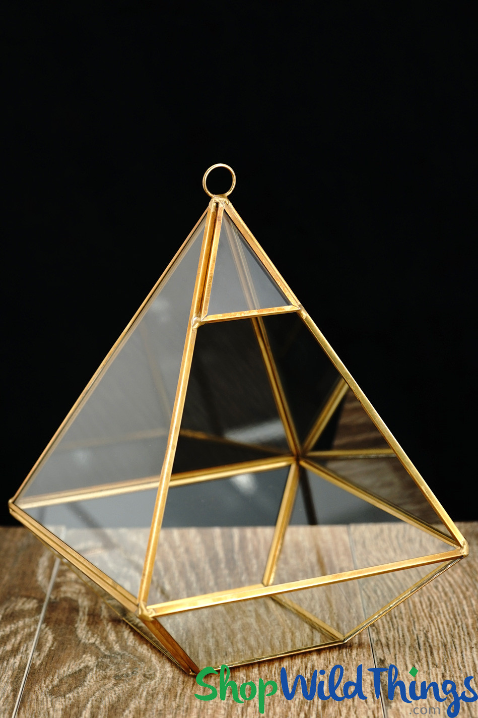 Terrariums Geometric Glass Trendy Centerpiece