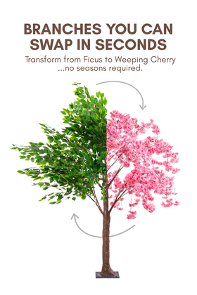 Interchangeable Trees and Branches