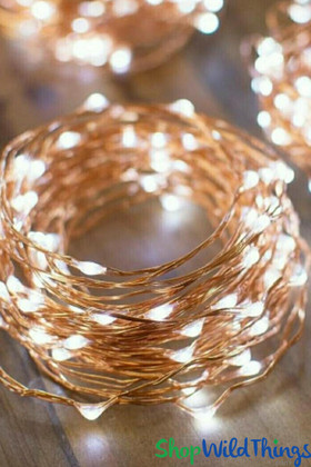 Copper Color Wire LED Fairy Lights Home and Wedding Decoration | ShopWildthings.com