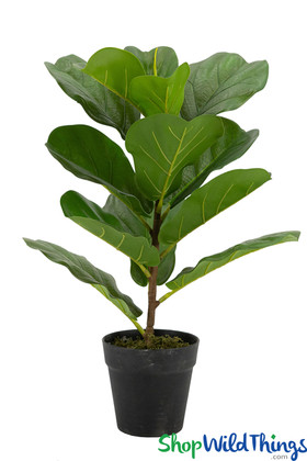 Fiddle Leaf Fig Tree for Boho Home Decor, Green Potted Tree for Decoration ShopWildThings.com