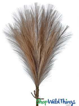 Artificial Feather Pampas Grass Bundle 23" Taupe | ShopWildThings.com