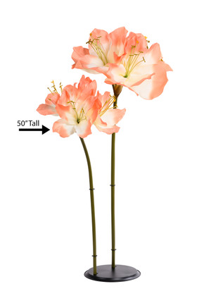 Full view of ShopWildThings.com 50" Silk Oversized Clivia Bloom, 50 inches tall with two stems, multiple large orange and ivory blossoms, ideal for floor-standing floral displays.