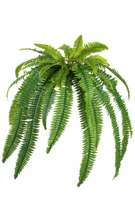 Artificial Silk Boston Fern Plant with 40 fronds, 40-inch diameter realistic faux greenery for home, office, or event décor – ShopWildThings.com