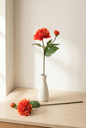 ShopWildThings 22" Burnt Orange Dahlia Stem styled in white vase with loose flower stem on countertop