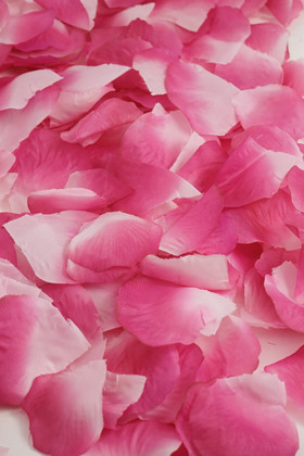 Bag of 400 Fuchsia Pink Silk Rose Petals, Wedding Aisle or Table Scatter, ShopWildThings.com