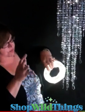 VIDEO: Chandelier & Vase Lighting-LED Rings, Discs