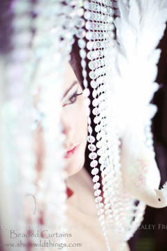 Beaded Curtains for Photographers