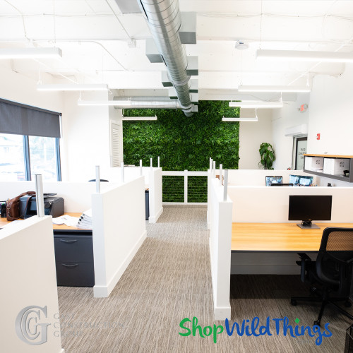 Beautiful Sound Dampening Idea for Acoustics Panel Greenery Walls ShopWildThings.com