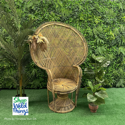 Create a tropical photo wall with lush greenery quickly with “Paradise” Artificial Greenery Wall Panels available at ShopWildThings.com – Perfect for indoor or outdoor events!