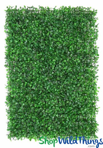 Artificial Boxwood Wall Panel for Backdrop | ShopWildThings.com