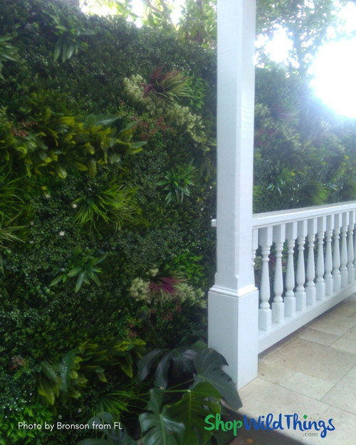Outdoor Greenery Wall with "Fantasy Courtyard" Indoor/Outdoor UV Artificial Greenery Wall Panels by ShopWildThings.com - no need to water or worry about sun, these always are lush and green!