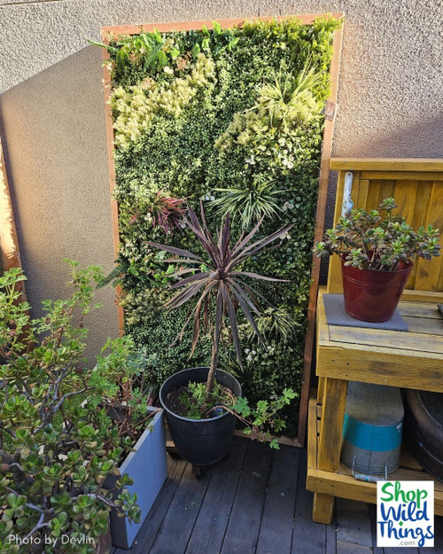 Greenery Porch Makeover with Faux Greenery Wall Panels
Green Thumb Not Required! This outdoor porch oasis is pure inspiration! Can you spot which of ShopWildThings.com’s Indoor/Outdoor Artificial Greenery Wall Panels were mixed and matched to create this stunning, worry-free space?
This installation features 40" x 40" panels of: Dream Meadow, Super Lush, and Fantasy Courtyard!
We have a huge selection of UV and Fire Treated Artificial Greenery Wall Panels, perfect for residential and commercial usage.