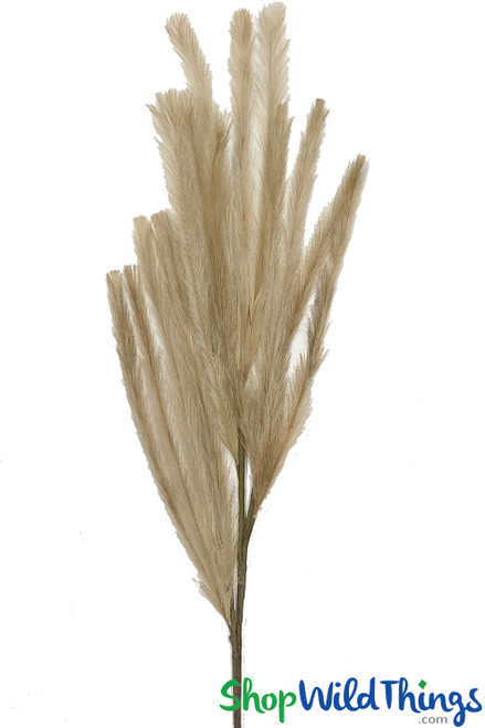 Faux Pampas Grass Artificial Grass , Natural Color ShopWildThings.com