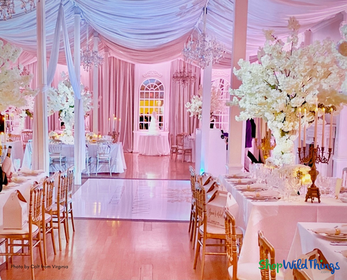 Create your own magical trees using Dogwood Replacement Branches by ShopWildThings.com! Layer them on top of our ready to use trees, or create a tree from scratch. Whatever your design vision, ShopWildThings can help!