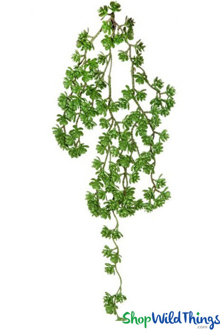 Greenery Succulent Vine for Floral Designs, Artificial Succulents ShopWildThings Trailing Hanging Vines