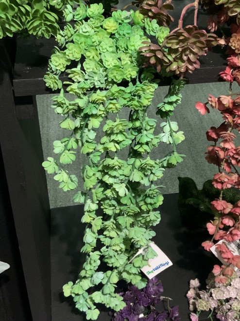 Floral Design with Succulent Vines, ShopWildThings.com