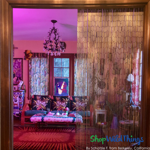 Room Divider with Bamboo Beads Sustainable Green Decor