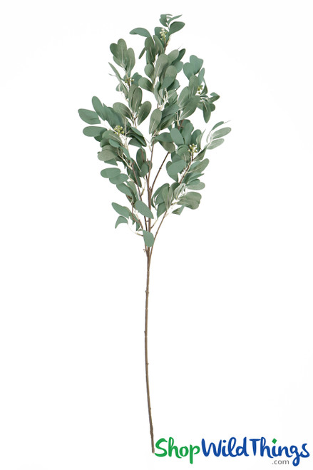 Willow Eucalyptus Branch Light Green ShopWildThings Floral Design Greenery