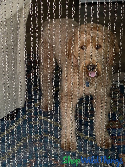Metal Chain Beaded Curtain with Dog on one side to show coverage