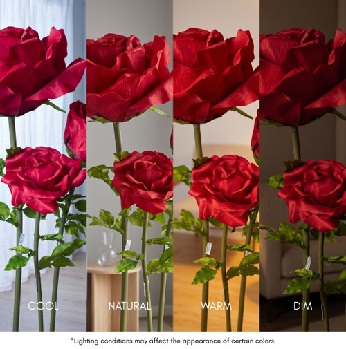 Oversized XXXL Silk Rose Bloom w/Removable Stem - Red - 80"H x 32"W