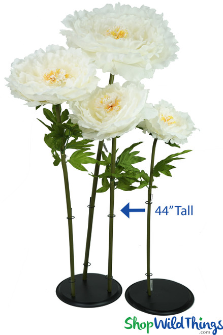 ShopWildThings Lifesize Cream Peony Flowers Come in Several Sizes and Colors