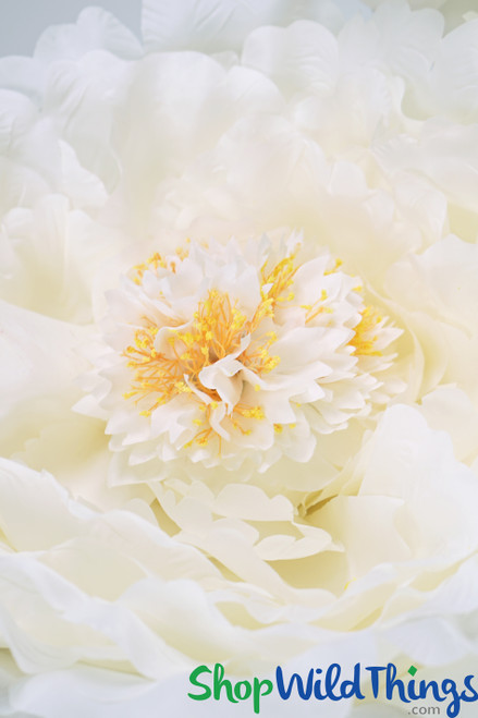 Cream Peony Giant Foral Prop by ShopWildThings.com