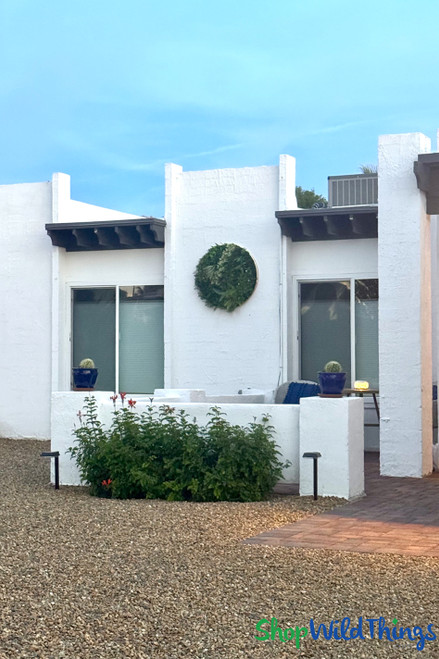 Greenery wall in gold frame hanging outside in Arizona