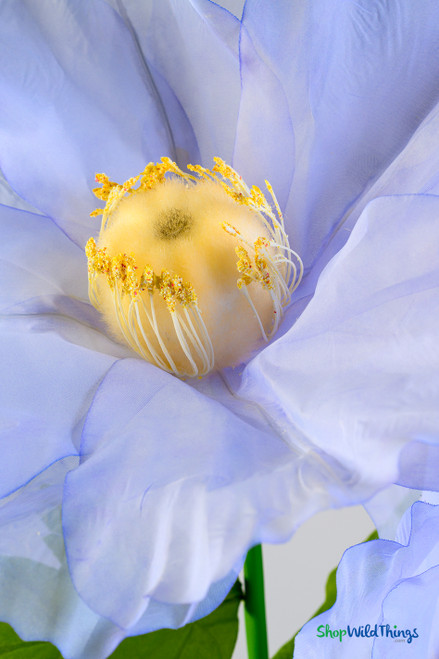 poppy BLOOMING FLOWER SEE-THROUGH TOPS トップス POPPY ART FLOWER