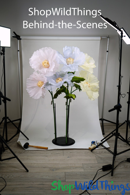 Giant Light Yellow Oversized Sheer Ethereal Voile Poppy Flowers 45