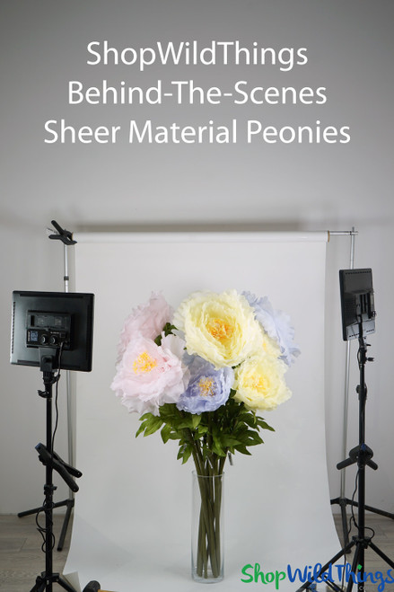 Sheer Giant Peonies by ShopwildThings.com in a tall vase, behind the scenes during photoshoot