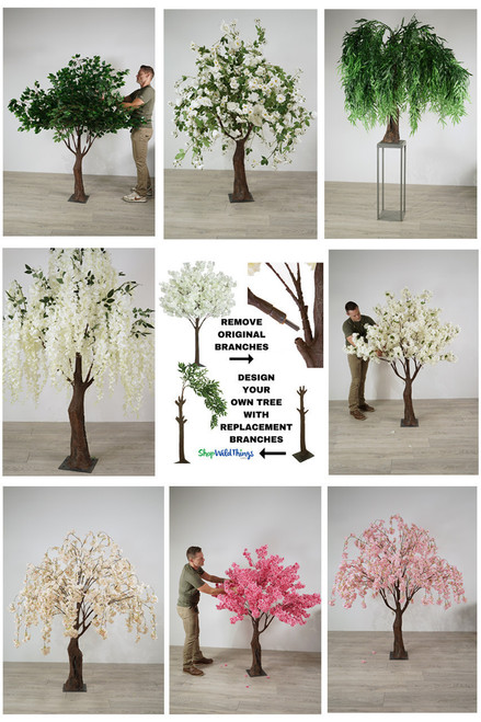 Lacebark Elm Green Wall Hugger 11' Tree with Interchangeable Branches