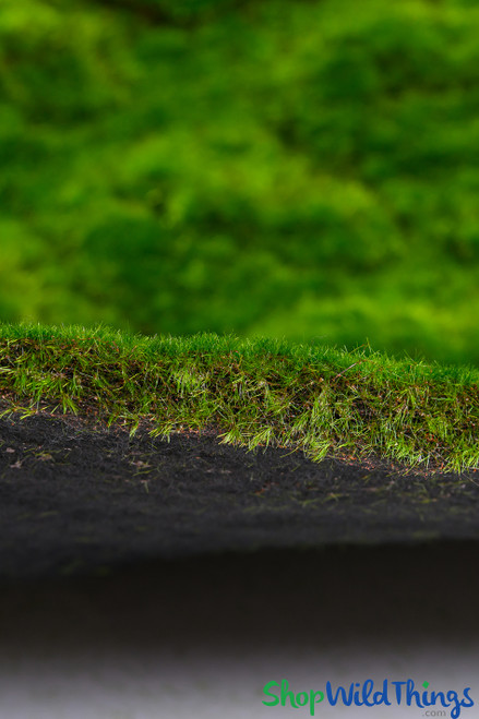 Emerald Isle 40 x 80 inch artificial magic moss mat, fabric backed green moss flooring for themed events, fantasy installations, and venue decor by ShopWildThings