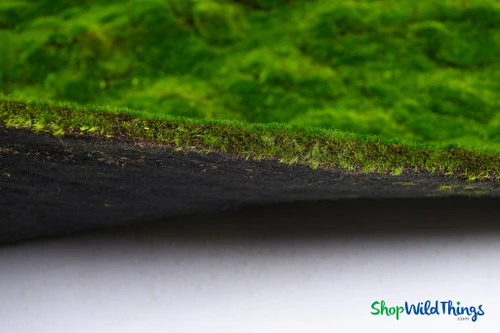 40" x 80" Artificial Moss Mat – Magic Moss “Emerald Isle” Lush Green Faux Icelandic Moss Panel, Trimmable Fabric Backed