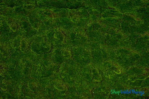 Artificial Green Thick Lifelike Moss Pad 40