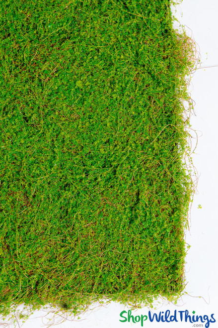 Thick Artificial Light Green Realistic Moss Pad 39