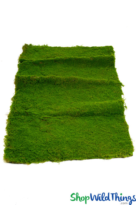 Artificial Realistic Icelandic Moss Green Wall Pad 39" by 78" by ShopWildThings.com