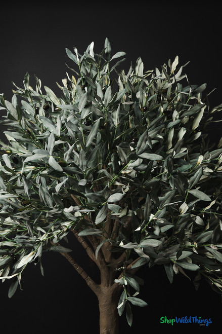 Faux 6.25' tall Olive Tree in Black Pot - ShopWildThings.com