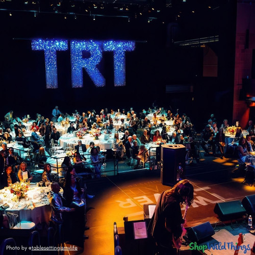 Create show stopping ceiling decor with Beaded Curtains by ShopWildThings.com! 100’s of ready to ship sizes and styles, plus our in-house custom fabrication team can make anything you dream up!
Beaded Curtains are great, high impact choices for galas, events, theater, and stage sets.
Theater Stage Set with Dazzling Beaded Curtains