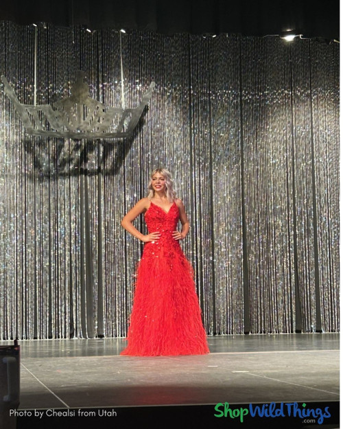 Extra Long Sparkling Beaded Curtain Stage Backdrop – Glam Pageant Decor by ShopWildThings.com
Diamonds Iridescent Beaded Curtains